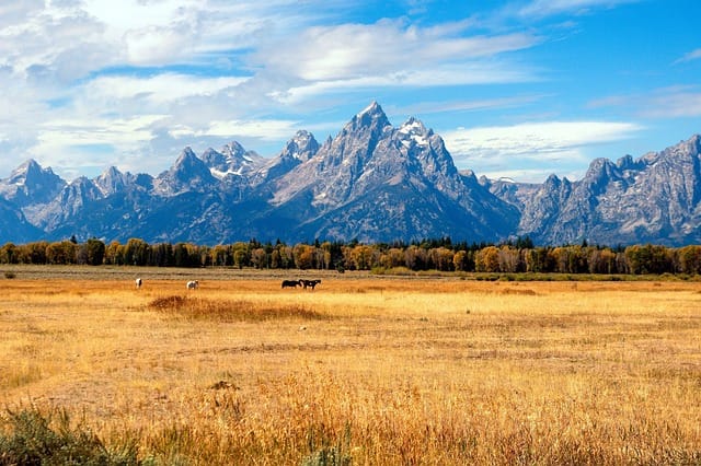 grand tetons in the fall